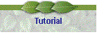 Tutorial